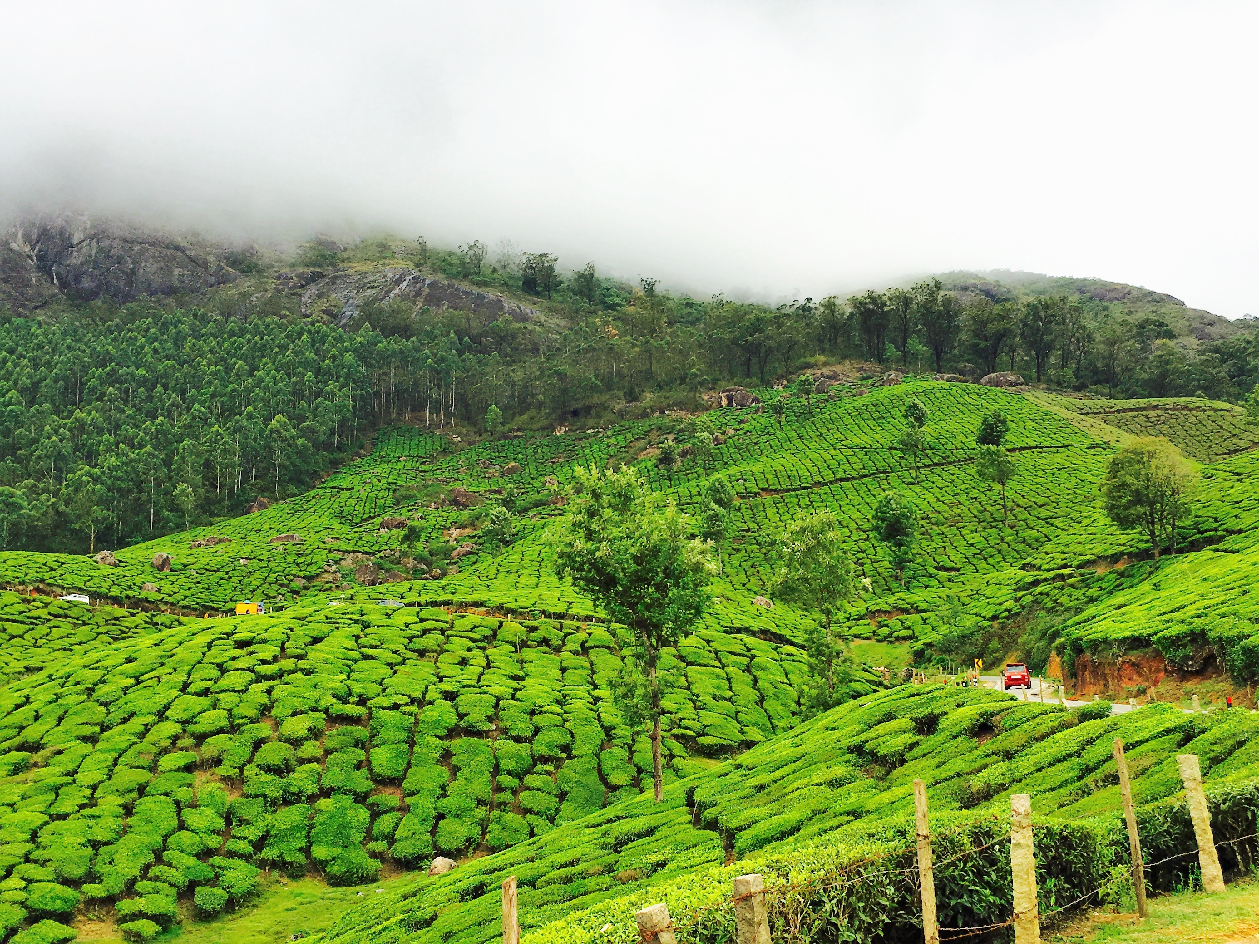 MUNNAR & ALLEPPEY