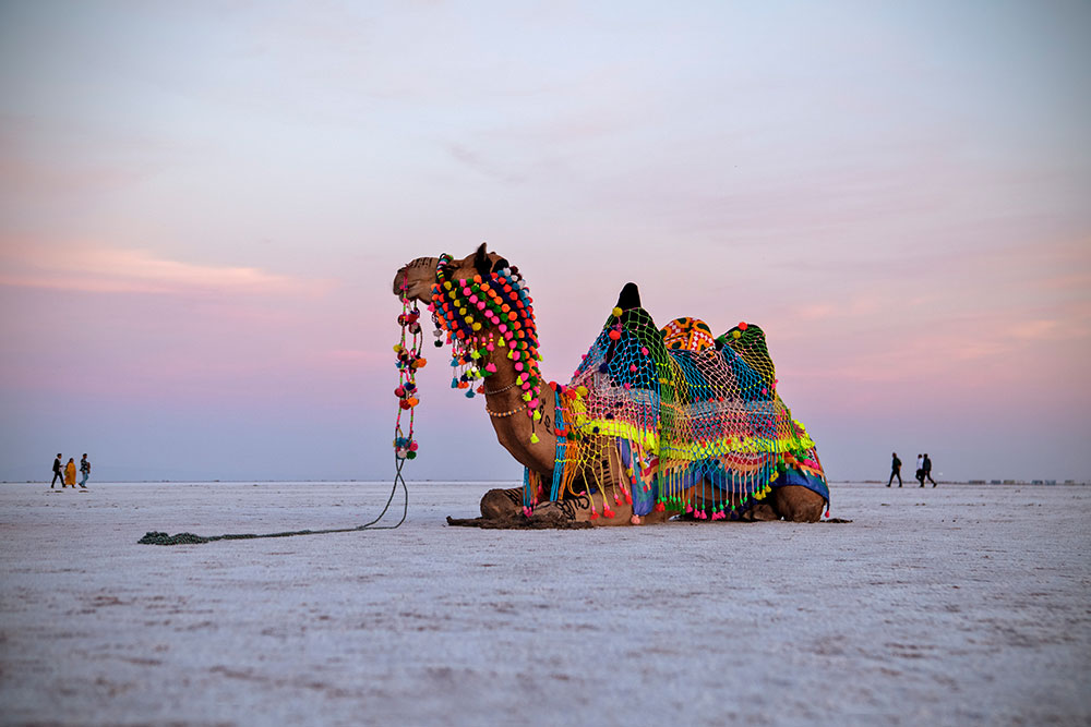 Rann of Kutch, Bhuj